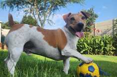 WhatsApp_Image_2024_02_02_at_16.59.47_1707399109