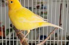 IMG_20221005_092509_1707399722