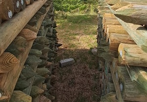 Pencil Sharpened Pine Poles