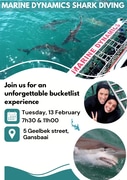 Next Marine Dynamics Shark Cage Diving Trip: 13 February 2024
