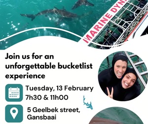 Next Marine Dynamics Shark Cage Diving Trip: 13 February 2024