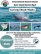 Next Dyer Island Marine Big 5 Tour: 13 February 2024