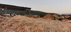 Fynbos Pole Depot's Organic Pine Mulch Products!