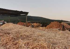 Fynbos Pole Depot's Organic Pine Mulch Products!