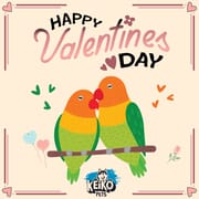 Love Abounds at Keiko Pets Pet Shop this Valentine's Day