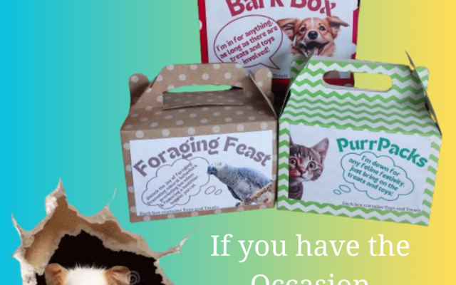 Pet_Christmas_Boxes_1707897059