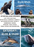 Next Dyer Island Marine Big 5 Tour: 17 February 2024
