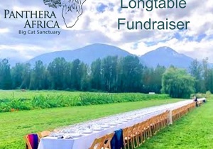 Panthera Africa Longtable Fundraiser - Limited Space!