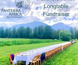 Panthera Africa Longtable Fundraiser - Limited Space!
