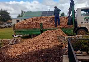 Organic Pine Woodchips