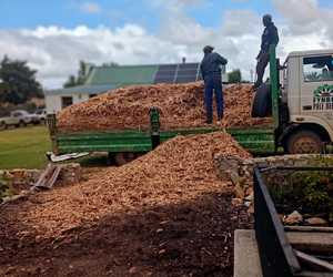 Organic Pine Woodchips