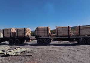 Your Trusted Source for Untreated Pine Poles in Western Cape!