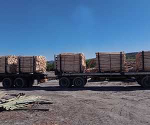 Your Trusted Source for Untreated Pine Poles in Western Cape!