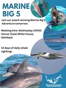 Next Dyer Island Marine Big 5 Tour: 21 February 2024