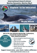 Next Dyer Island Marine Big 5 Tour: 22 February 2024