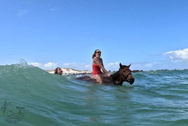 Best all-round experience....