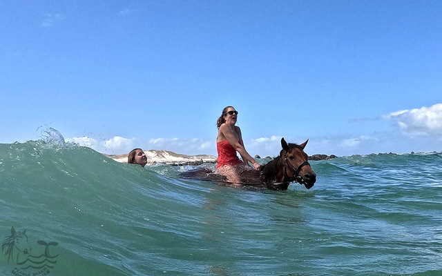 Pearly Beach Horse Trails