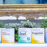 Wellness Boosters - Best of Both Wellness - Xplorio™ Hermanus