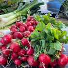 Fresh Produce - Pure Cafe - Xplorio™ Greyton / Genadendal