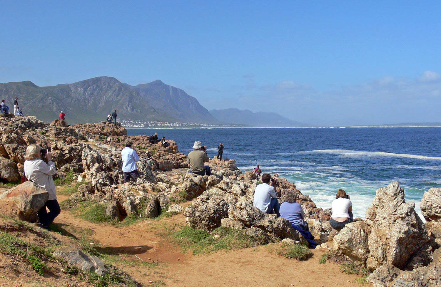 hermanus-top-attractions-image-1-whale-watching