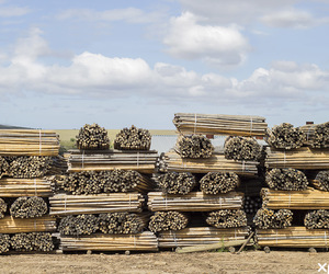 High-Quality Timber in the Overberg
