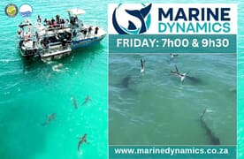 Next Marine Dynamics Shark Cage Diving Trip: 1 March 2024