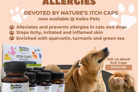 Itch_Caps_1709211927