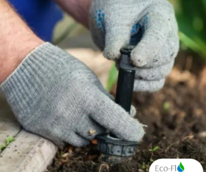 Irrigation System Maintenance: Prevent Surprises!