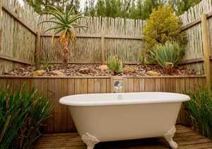 Transform Your Space with Charm and Privacy