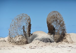 Fotografie Is My Passie in Die Lewe - Stefan Botha (15)