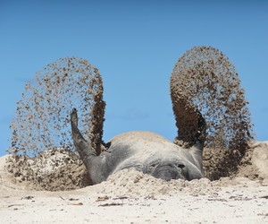 Fotografie Is My Passie in Die Lewe - Stefan Botha (15)
