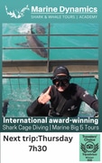 Next Marine Dynamics Shark Cage Diving Trip: 7 March 2024