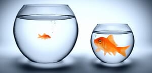 No Business Too Small