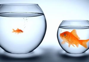 No Business Too Small