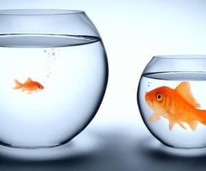 No Business Too Small