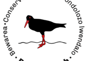 Embrace Nature, Preserve Beauty, and Get Involved in 2024!