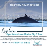 Next Dyer Island Marine Big 5 Tour: 8 March 2024