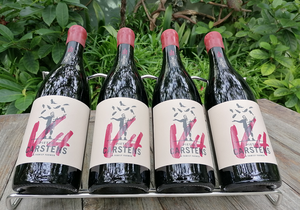 Weekend Tasting: Pieter Carstens V4
