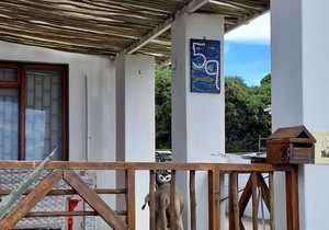 Upgrade Outdoors with Fynbos Pole Depot's Timber!