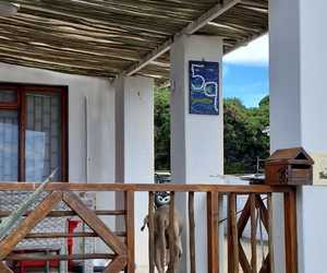 Upgrade Outdoors with Fynbos Pole Depot's Timber!