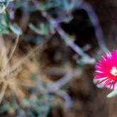 Function Venue - The Harvest Fork & Farm - Xplorio™ Stanford