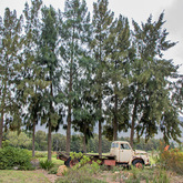 Farm Vibe View - The Harvest Fork & Farm - Xplorio™ Stanford