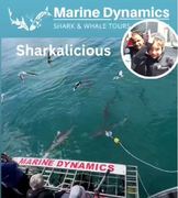 Next Marine Dynamics Shark Cage Diving Trip: 15 March 2024