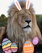 Educational Visit with Easter Egg Hunt!