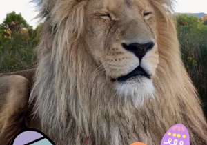 Educational Visit with Easter Egg Hunt!