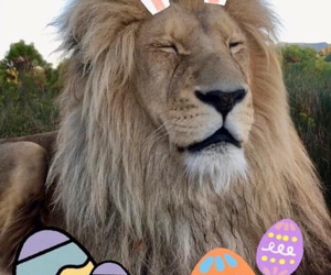 Educational Visit with Easter Egg Hunt!