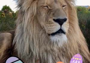 Easter Weekend Special Events Calendar