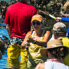 Edible Shores Foraging Experience- Edible Shores Pop-Up Restaurant - Xplorio™ Pringle Bay & Rooi Els