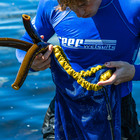 Foraging Experience- Edible Shores Pop-Up Restaurant - Xplorio™ Pringle Bay & Rooi Els