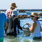 Foraging Experience - Edible Shores Pop-Up Restaurant - Xplorio™ Pringle Bay & Rooi Els